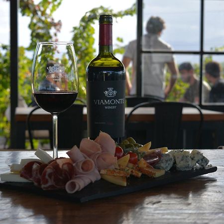 Viamonte Winery Lodge Чакрас-де-Кория Экстерьер фото